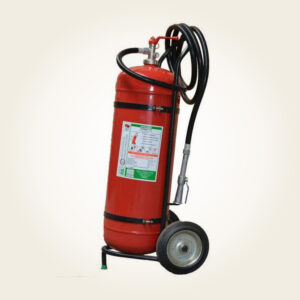 Stingator cu pulbere tip P50 carosabil